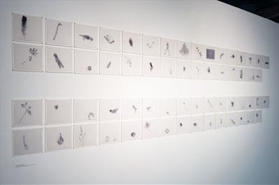 'Retracing the Ground', 62 Drawings