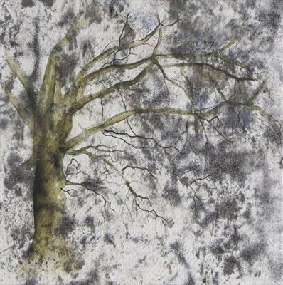 Oak