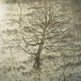 Beech by Claire Meharg, Drawing, Frottage and walnut ink