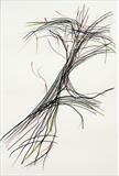 Tree Movement by Claire Meharg, Drawing, Charcoal and pencil on pergamenata