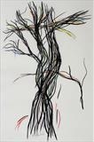 Tree Movement by Claire Meharg, Drawing, Charcoal and pencil on pergamenata